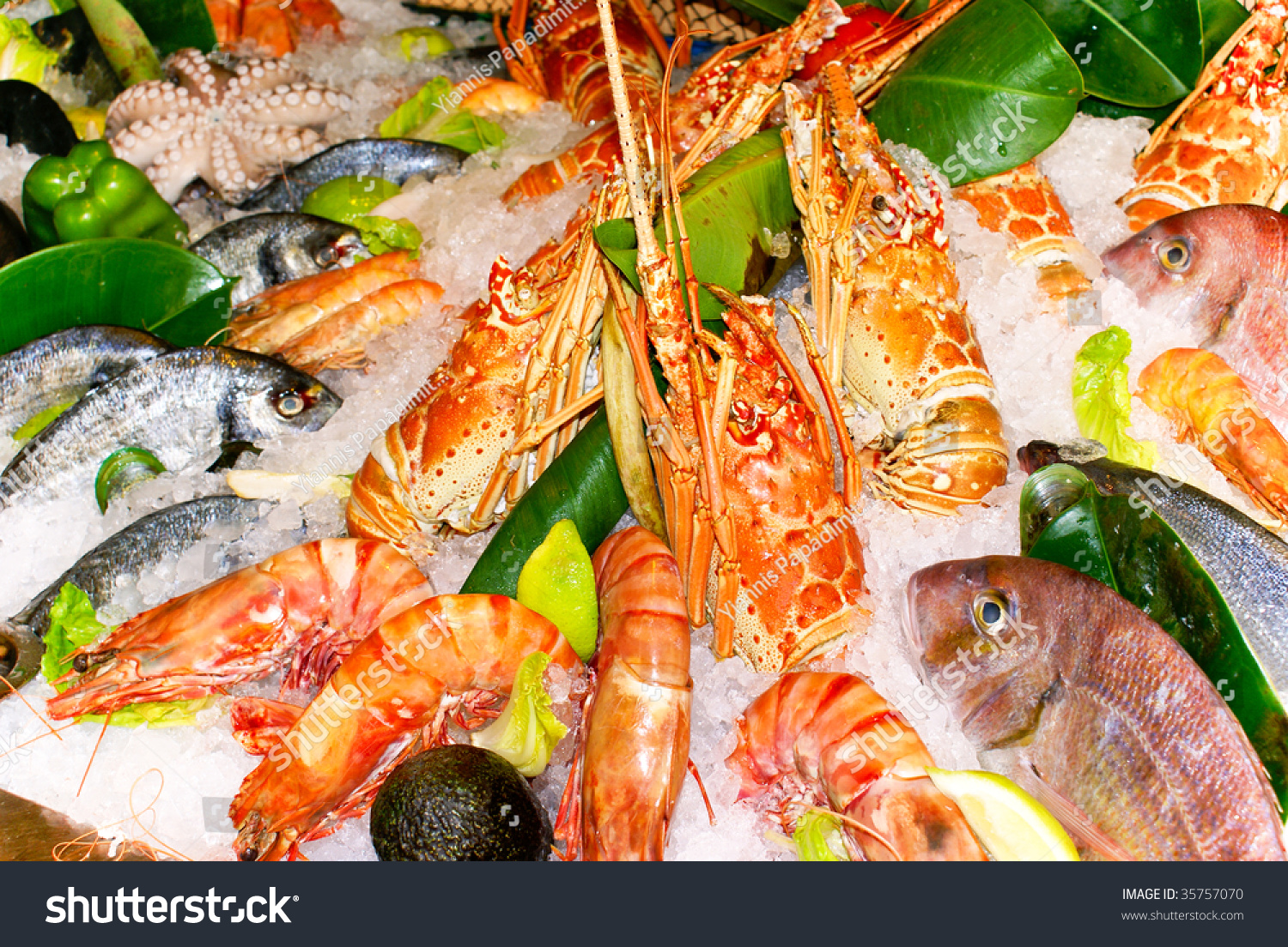 Fresh Prawns And Fishes Stock Photo 35757070 : Shutterstock