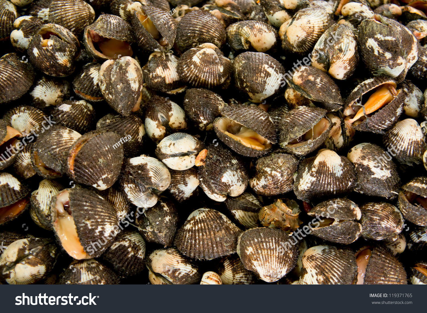 Fresh Raw Clams Market Malaysia Asia Stock Photo Edit Now 119371765