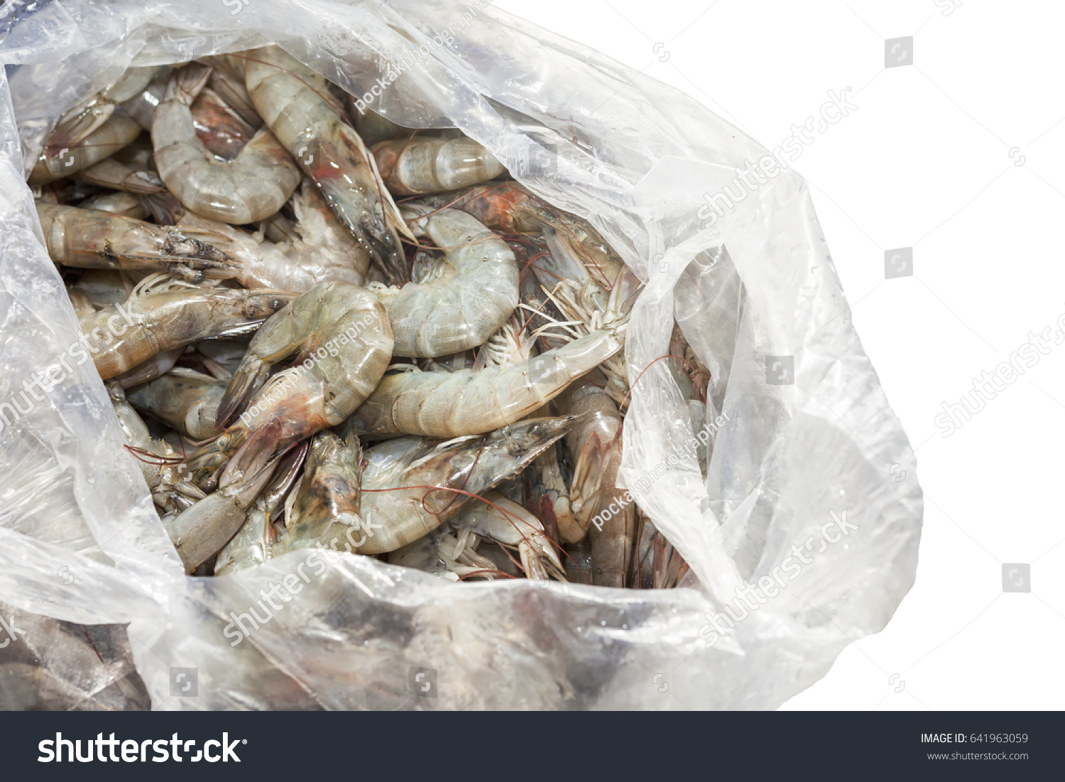 Download Fresh Raw Shrimp White Plastic Bag Food And Drink Stock Image 641963059 Yellowimages Mockups