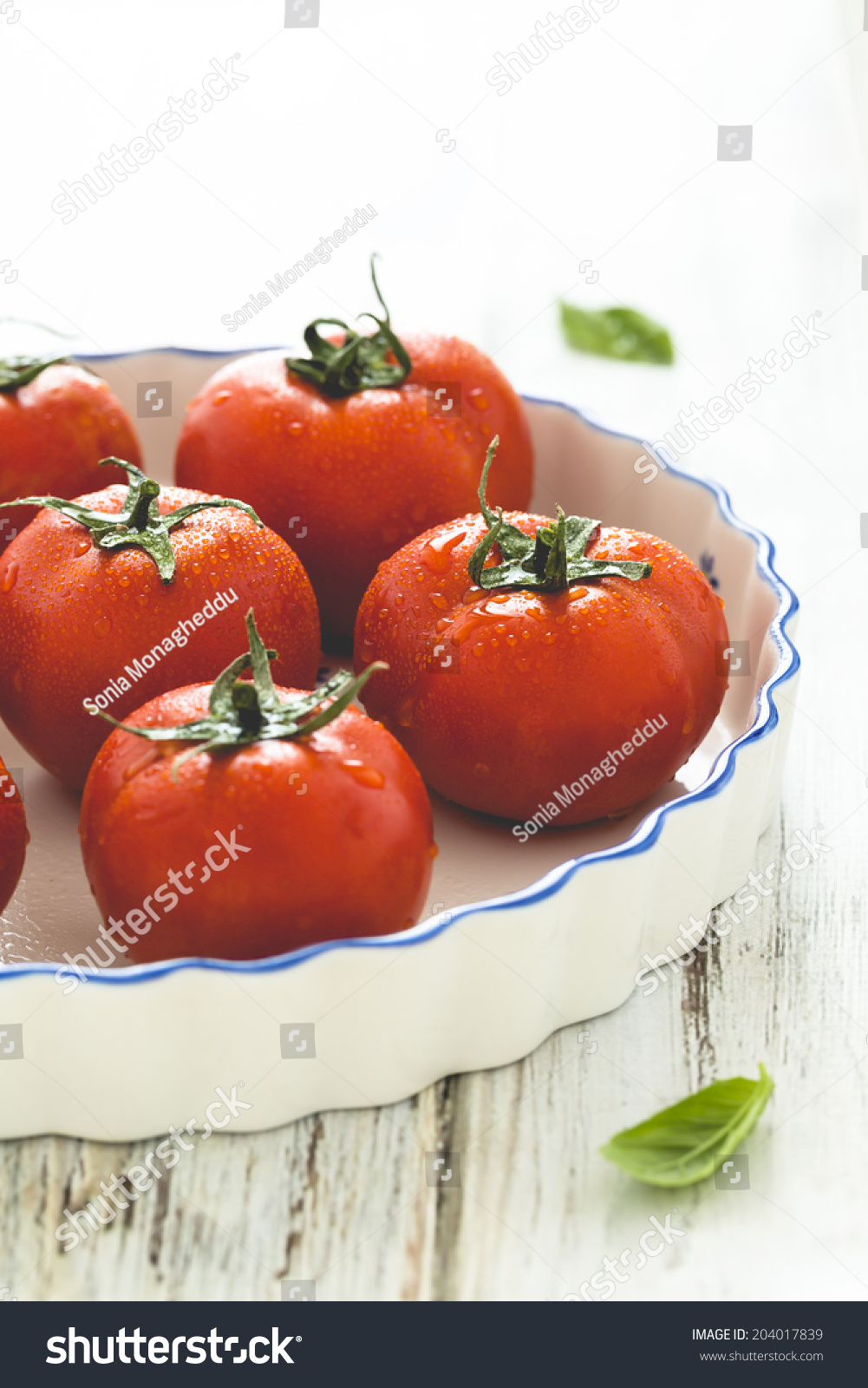 Why are the tomatoes inside white Why do tomatoes have white flesh Why are the tomatoes inside white Why do tomatoes have white flesh