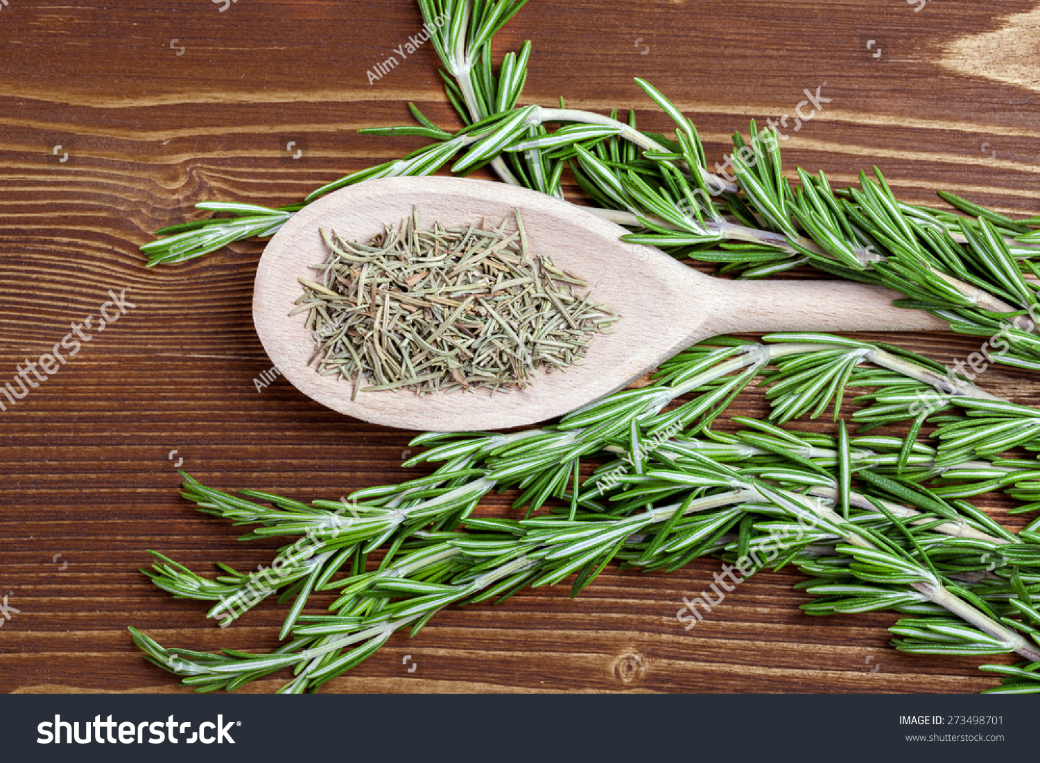 Fresh Rosemary Stock Photo 273498701 : Shutterstock