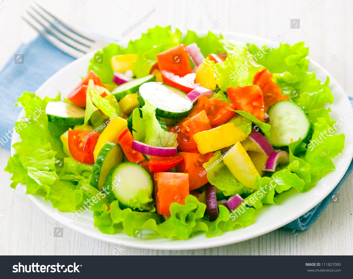 Fresh Vegetable Salad On Plate Stock Photo 111827000 : Shutterstock