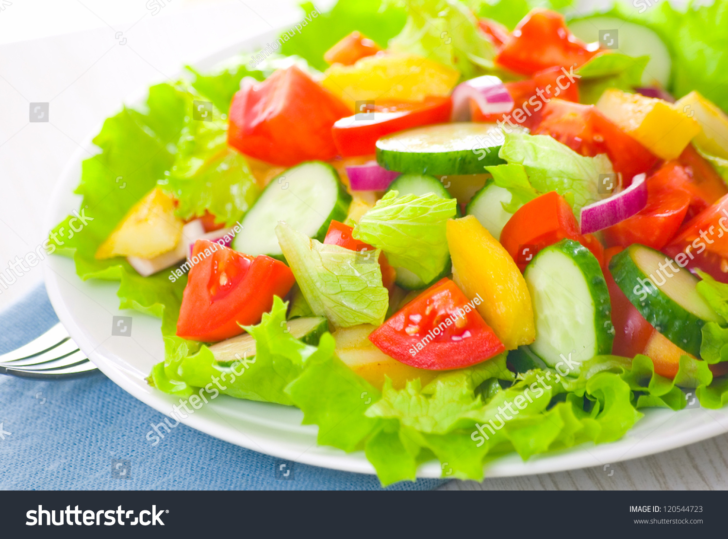 Fresh Vegetable Salad On Plate Stock Photo 120544723 : Shutterstock