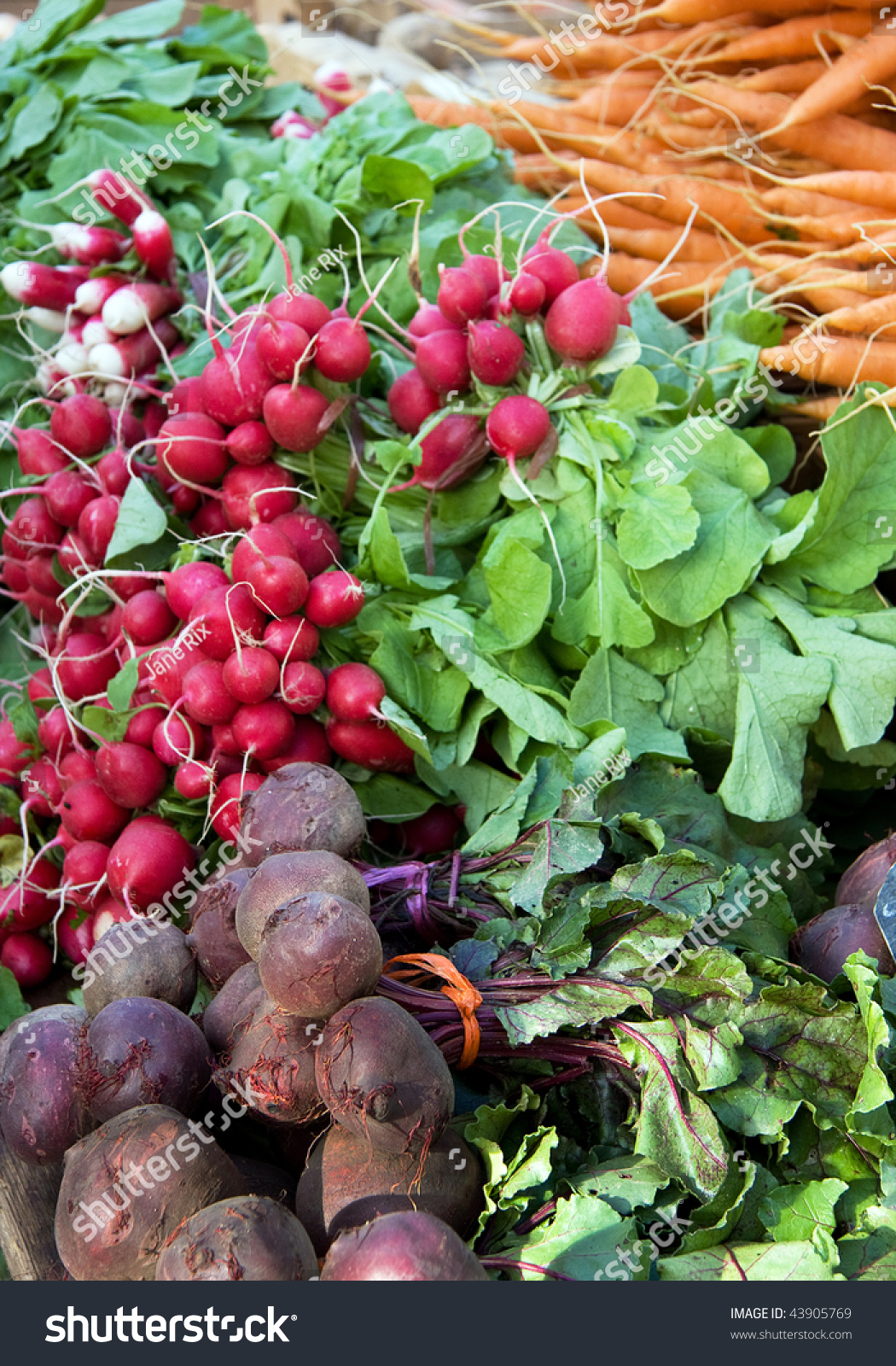 Fresh Vegetables For Sale At A Market Stock Photo 43905769 : Shutterstock