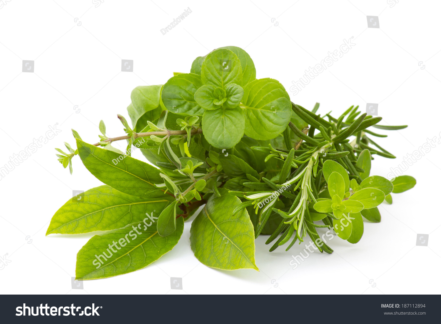 Freshly Harvested Herbs On White Background Stock Photo 187112894 ...