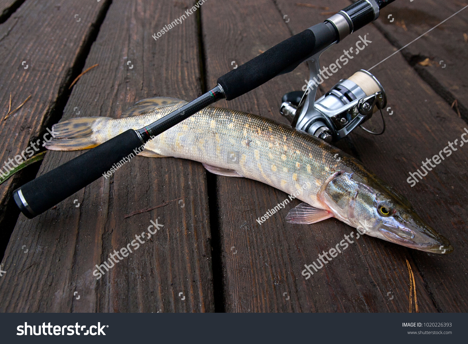 pike fishing equipment