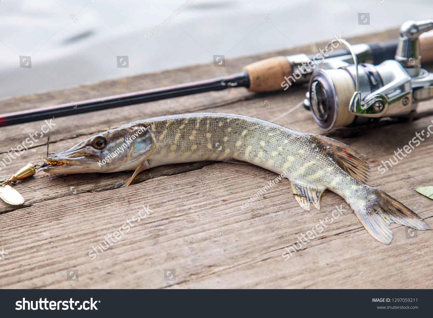 northern pike fishing equipment