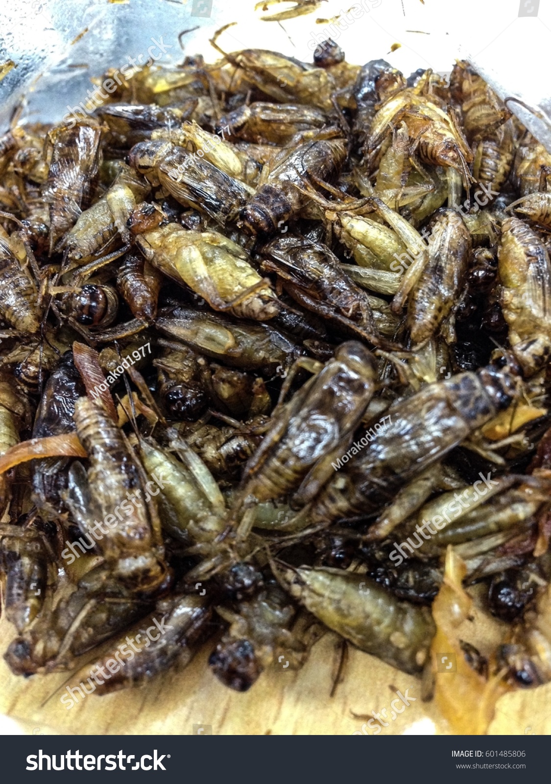 Fried Crickets High Protein Foods Stock Photo (Edit Now) 601485806