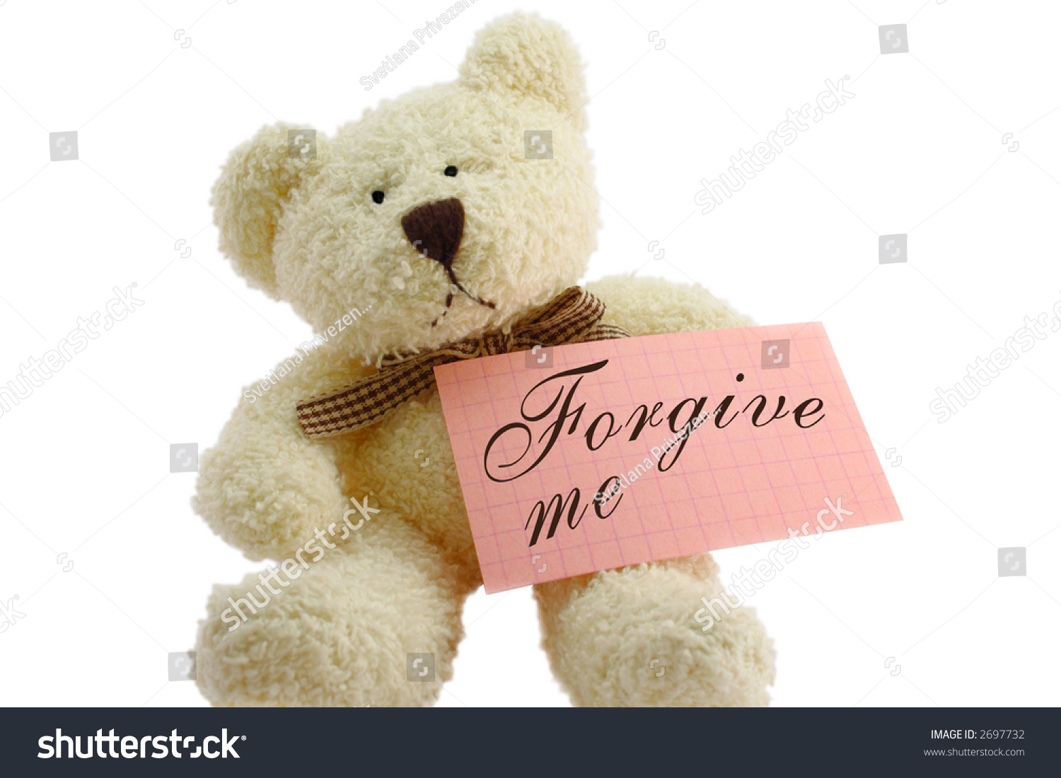 forgive me teddy bear
