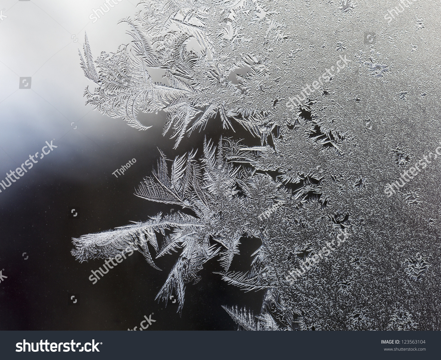 Frost Pattern On The Window Stock Photo 123563104 ...