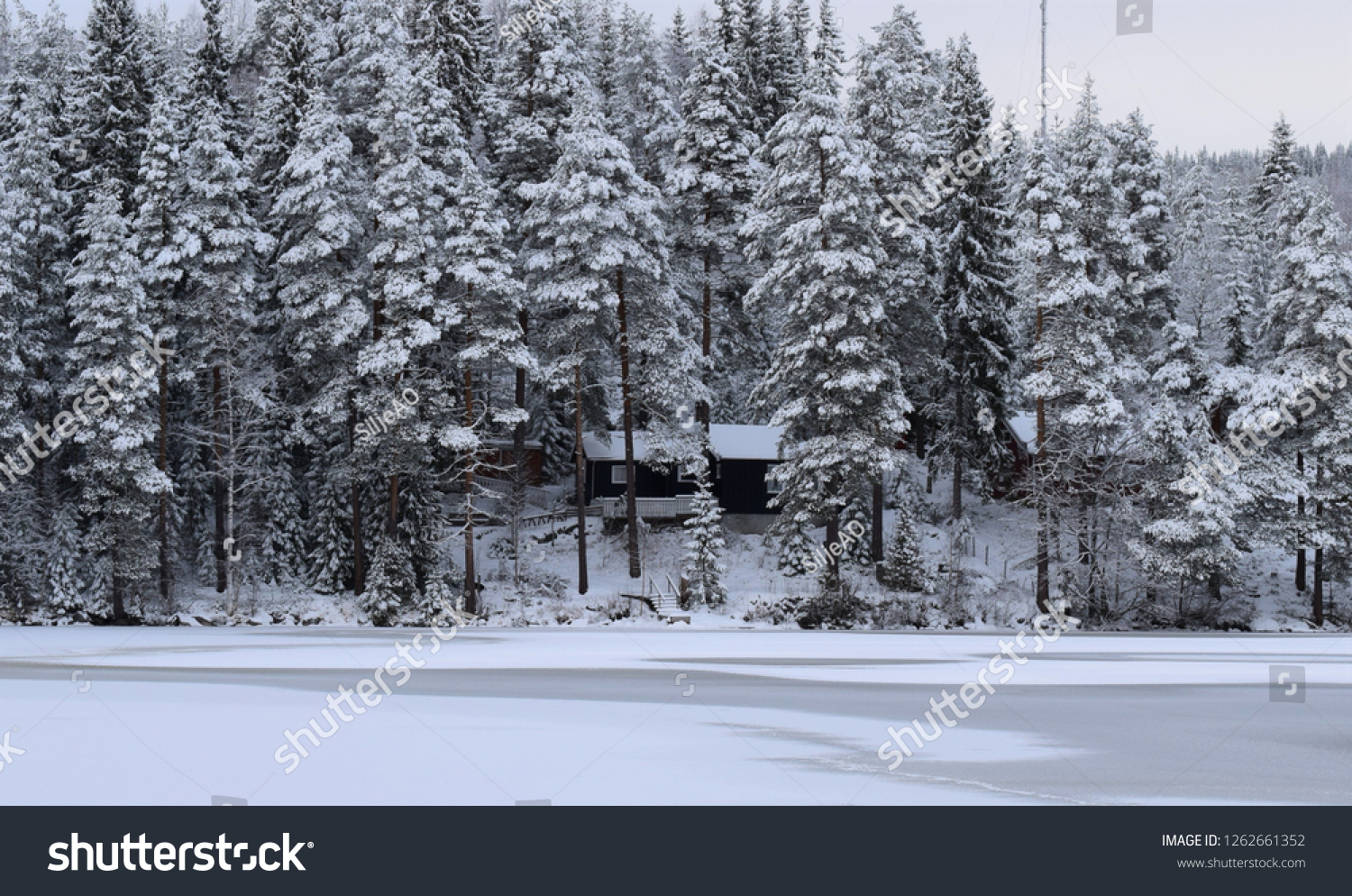 Frozen Lake Cabins Woods Cold Nature Nature Stock Image