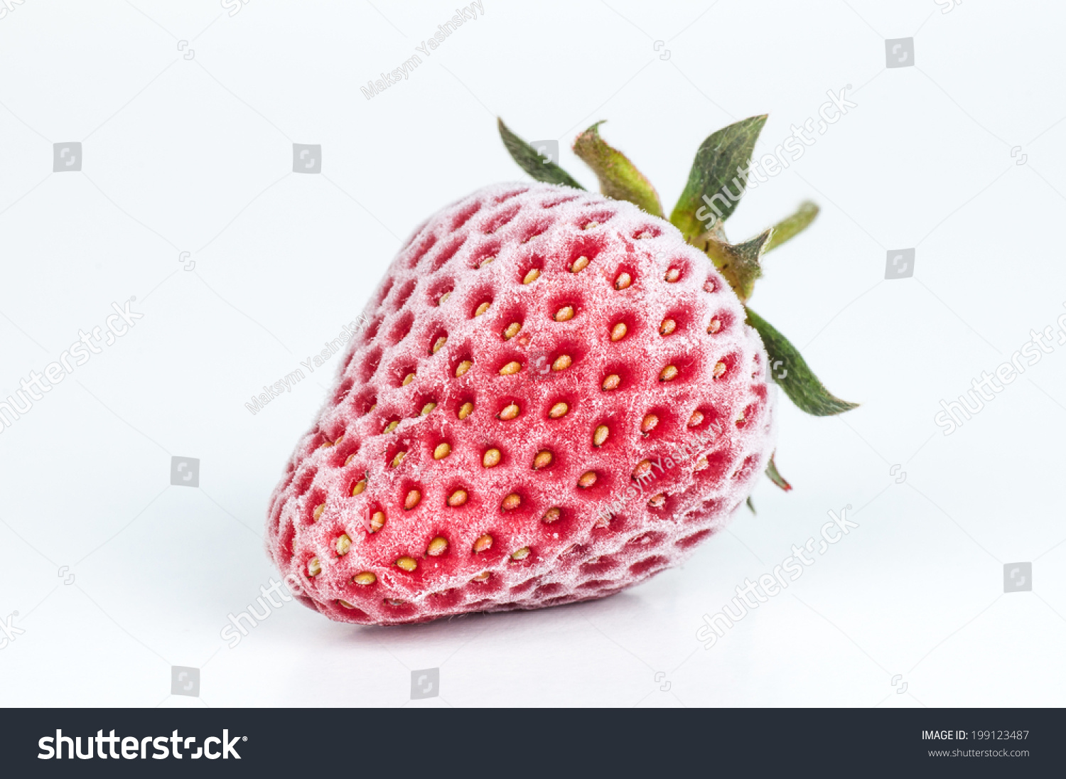 Frozen Strawberry On White Background Stock Photo 199123487 | Shutterstock