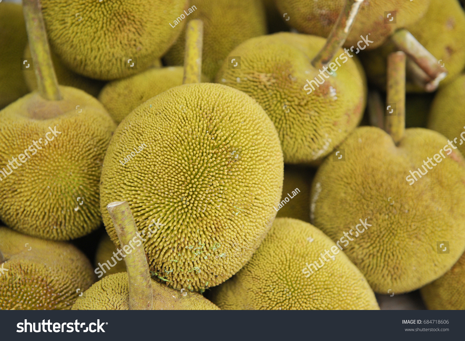 Fruits Sabah Borneo Called Buah Tarap Stock Photo Edit Now 684718606