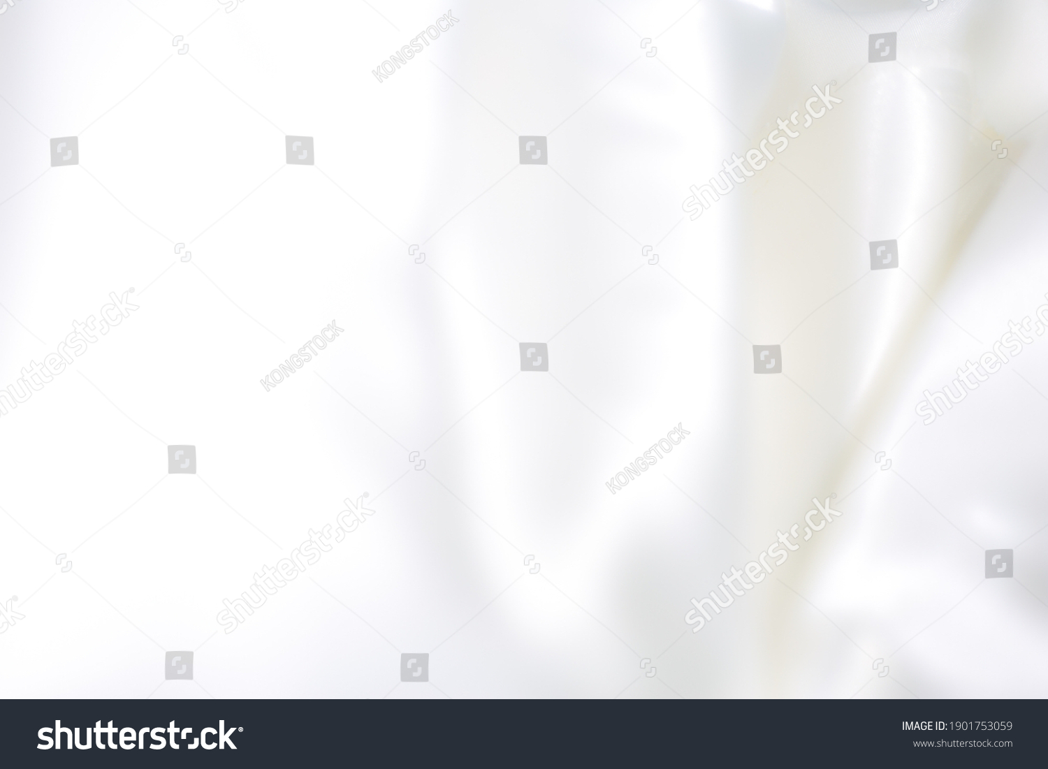 Full Frame White Background Stock Photo 1901753059 | Shutterstock