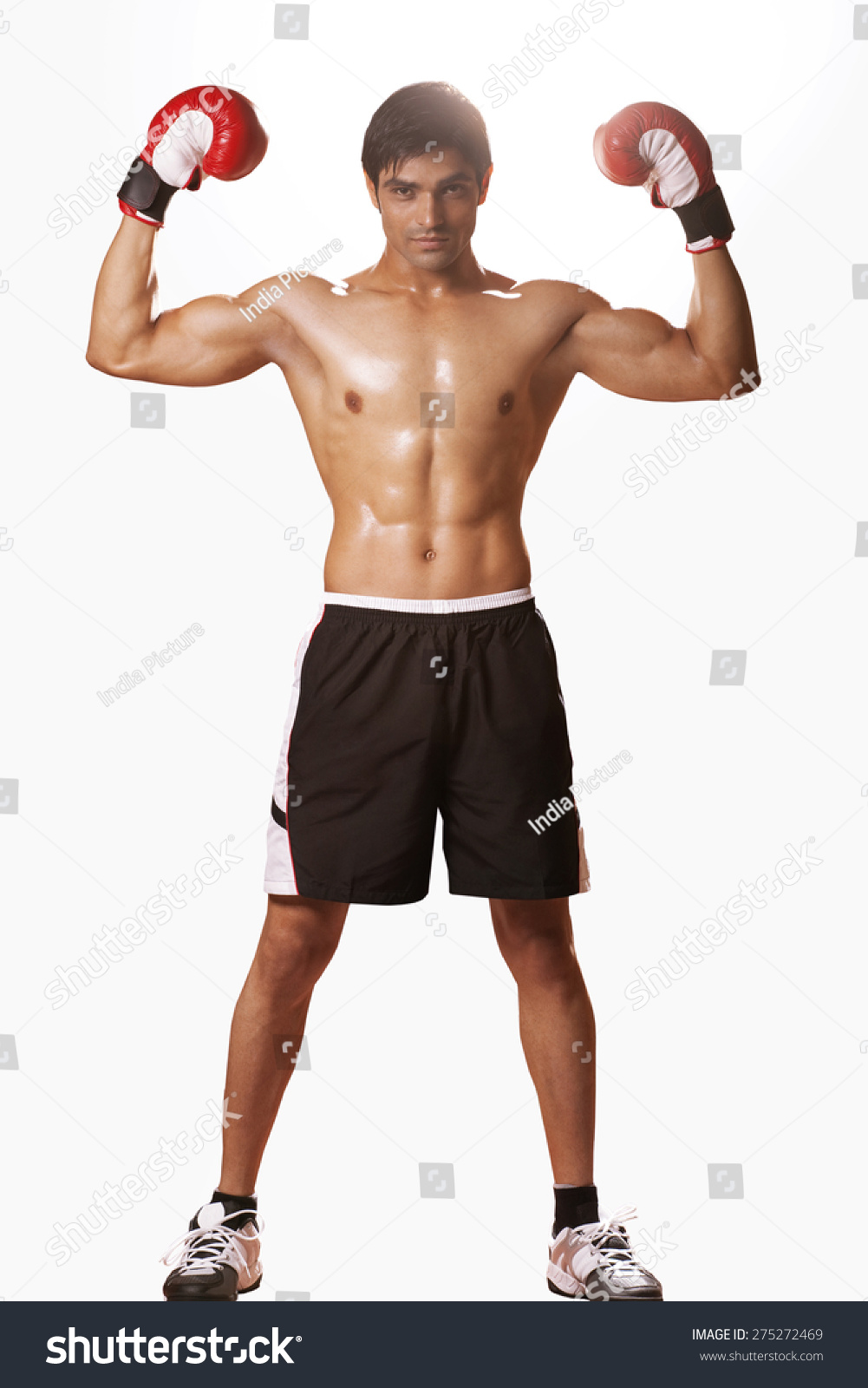 Full Length Portrait Young Male Boxer Stock Photo 275272469 - Shutterstock