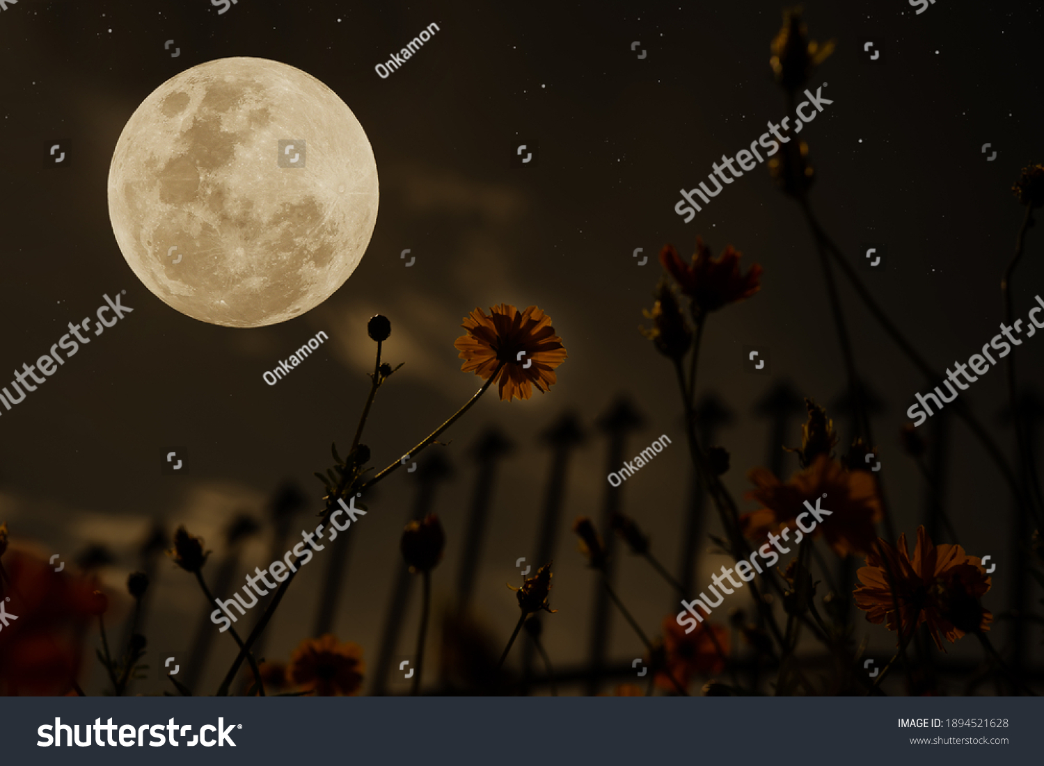 Full Moon On Sky Silhouette Flowers Stock Photo 1894521628 | Shutterstock