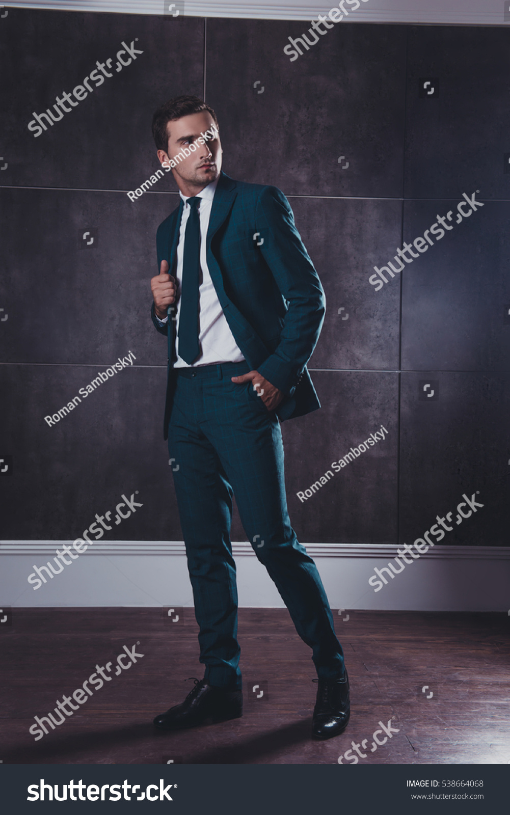 Full Portrait Rich Stylish Handsome Man Stock Photo (Edit Now) 538664068