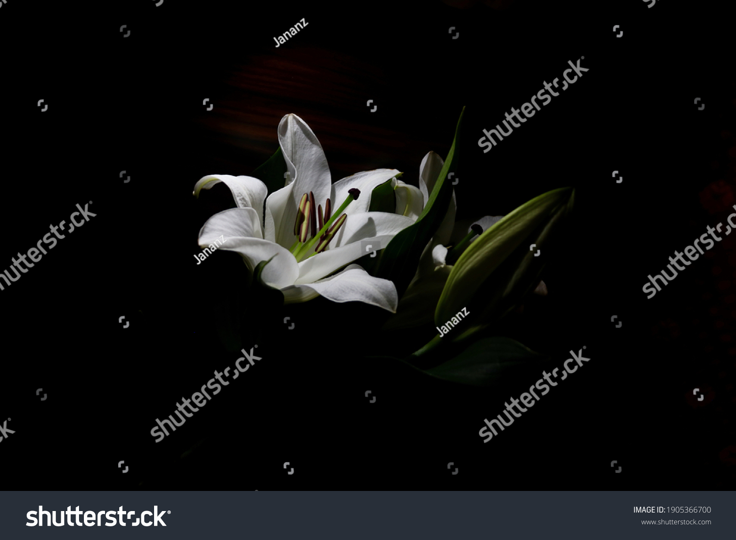 7,855 Funeral images Images, Stock Photos & Vectors | Shutterstock