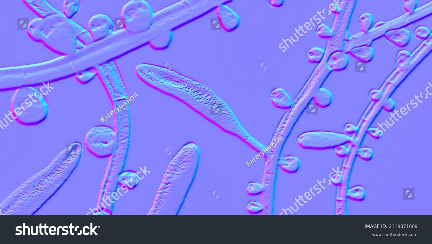 Fungus Trichophyton Rubrum, Illustration 3D Montrant : Illustration De ...