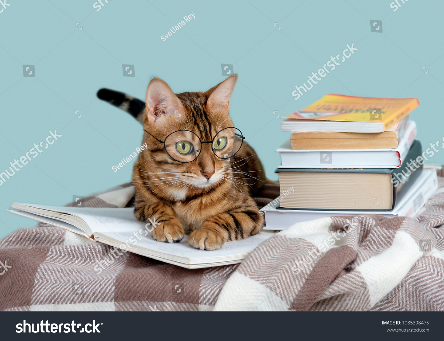 164,218 Studying funny Images, Stock Photos & Vectors | Shutterstock