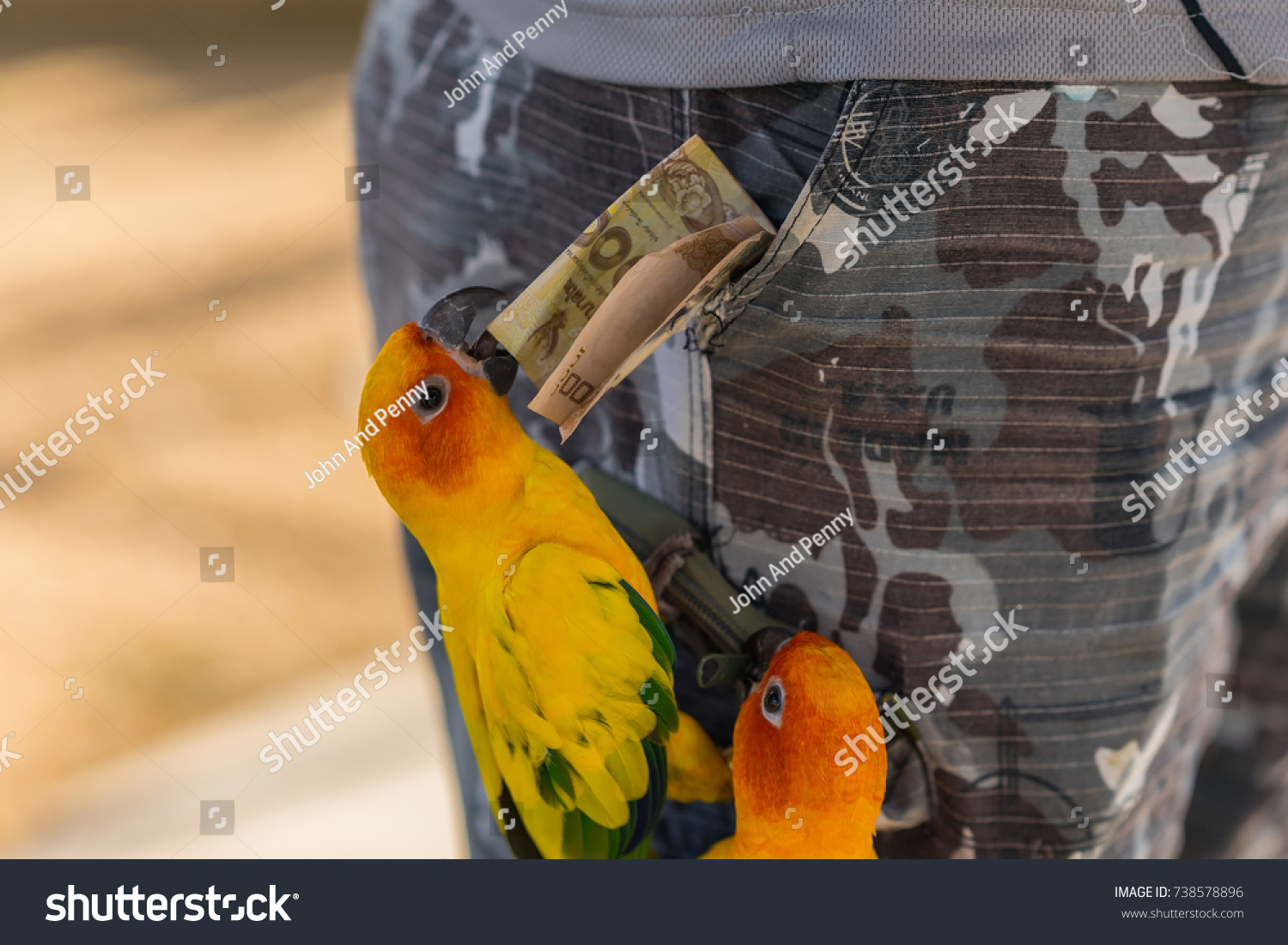 1-naughty-birds-taking-money-pocket-images-stock-photos-vectors