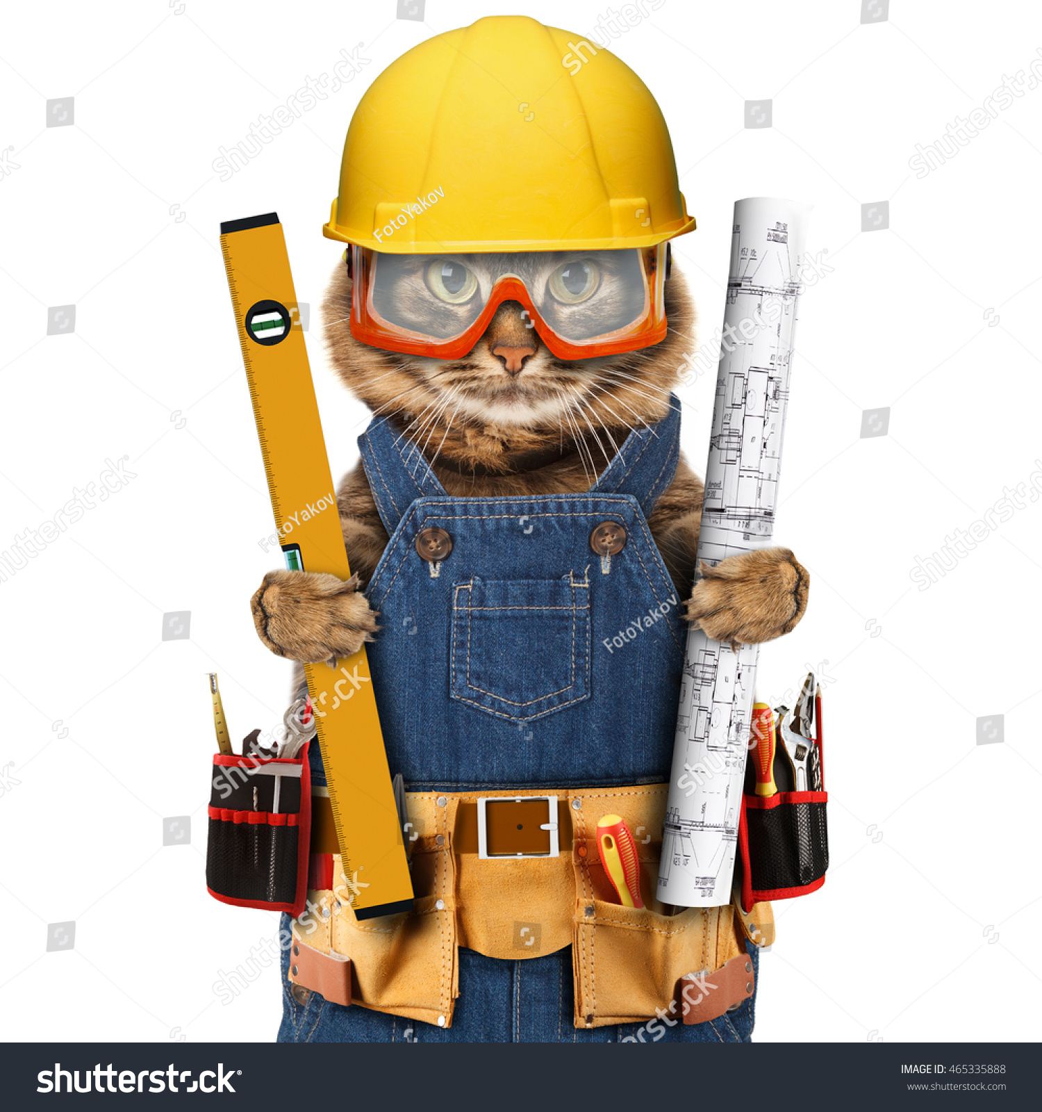 cat builder craftsman holding a hammer