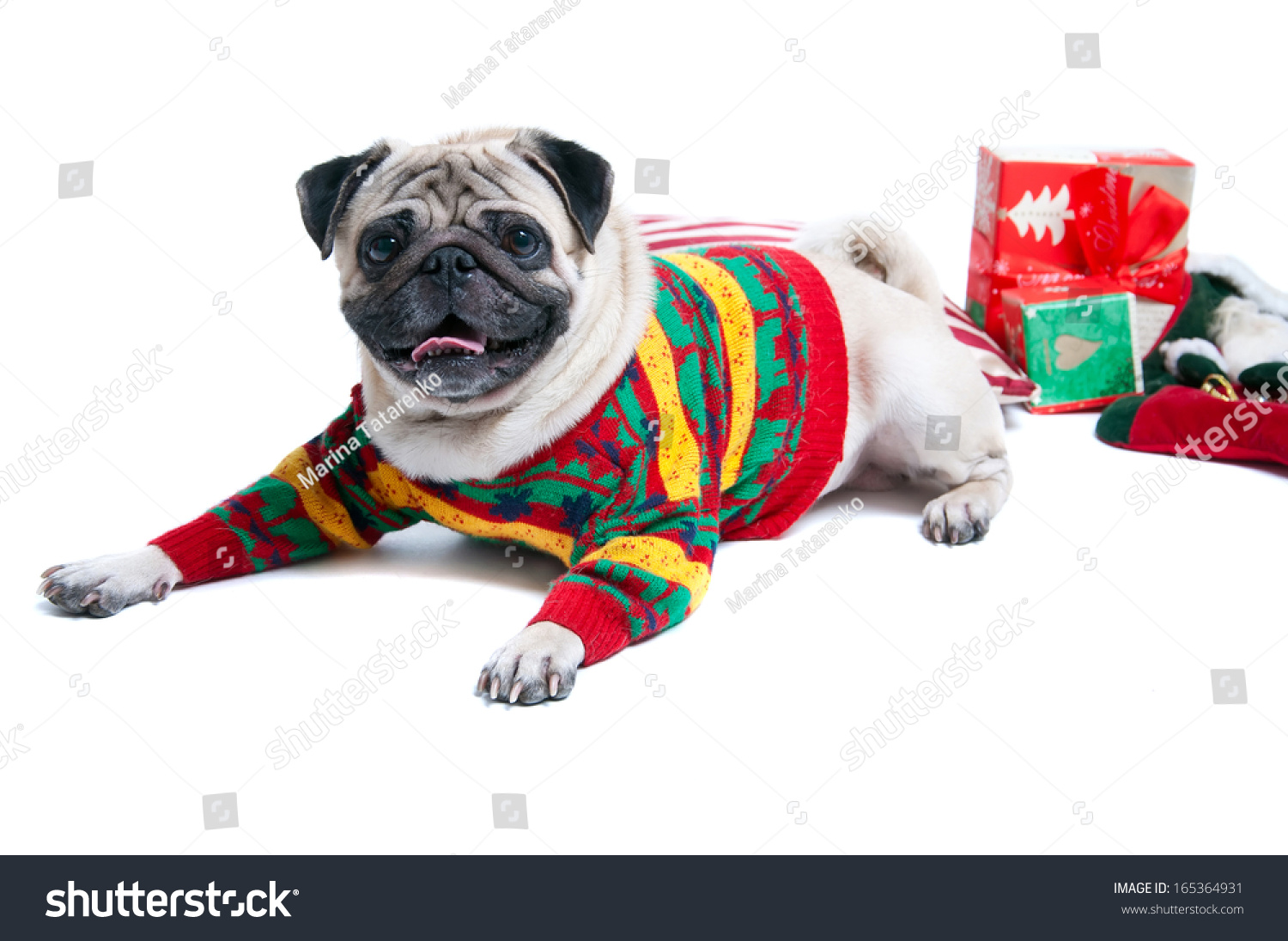 pug jumpers