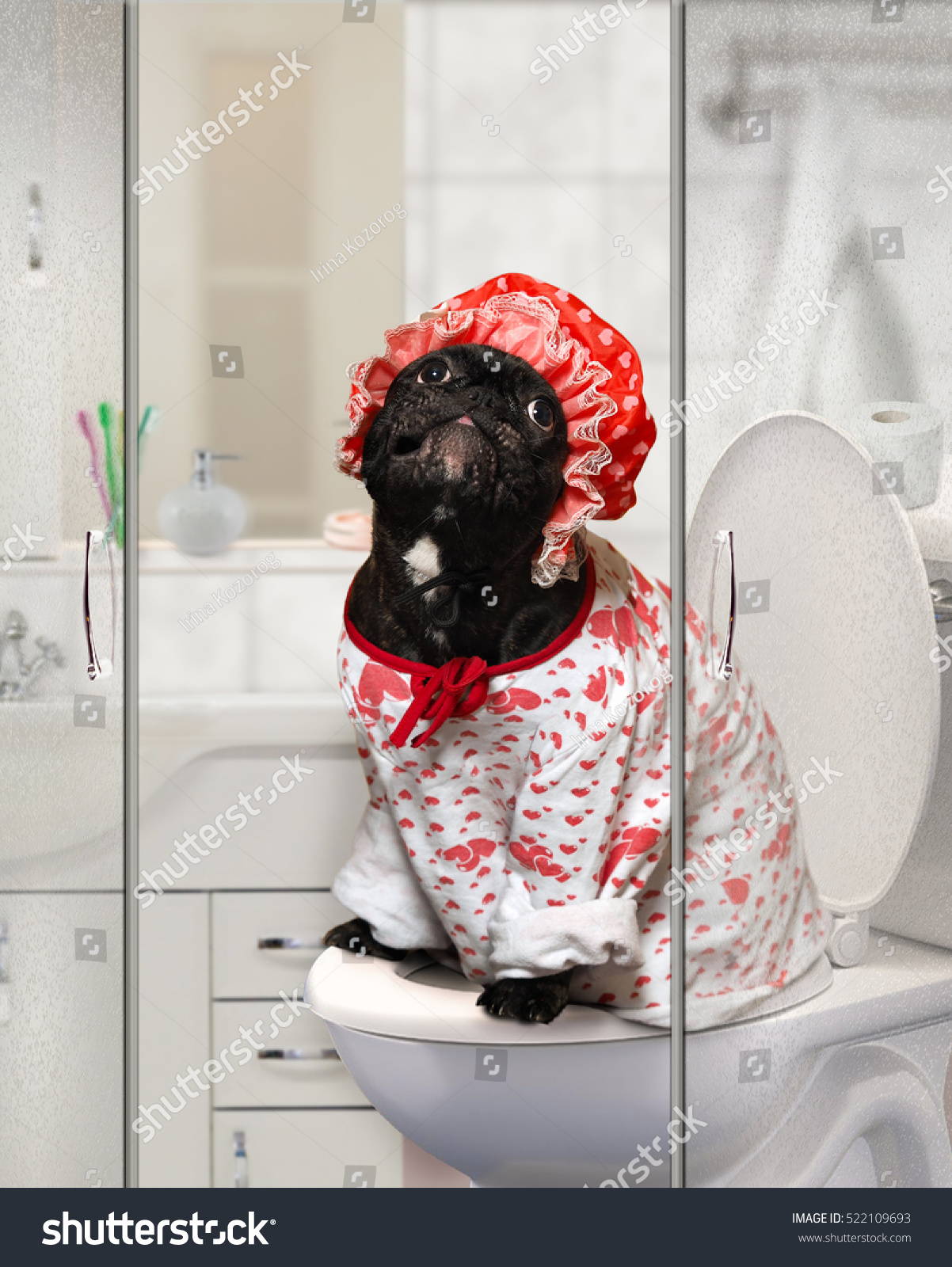 Shower Cap Dog Shower Cap Dog
