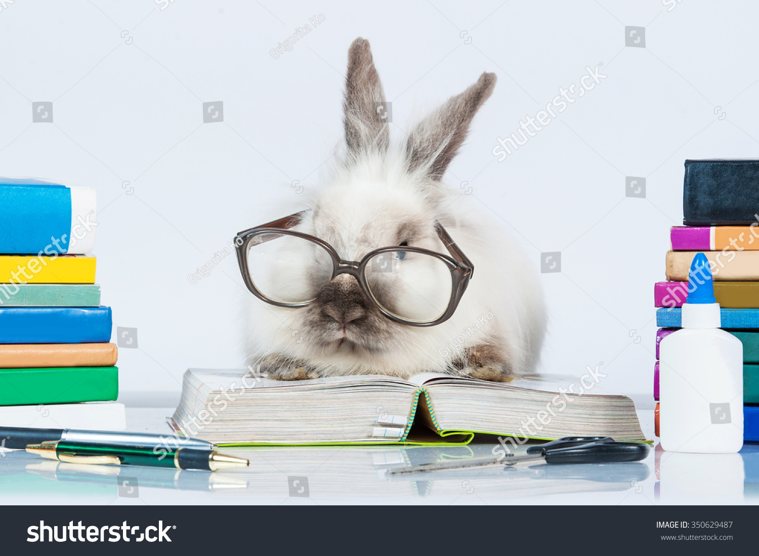 Image result for accountant easter