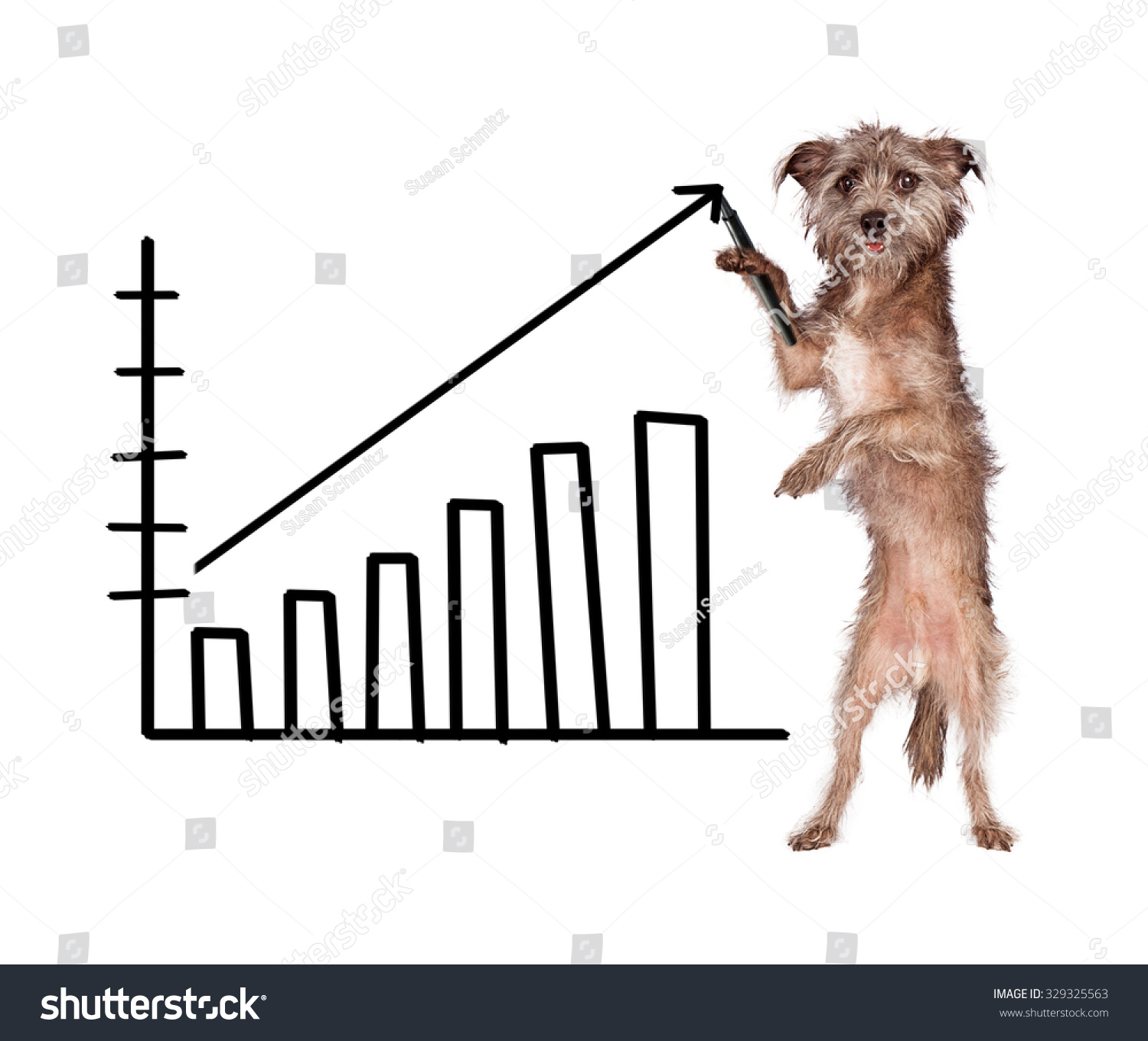 1,900 Dog on graph Images, Stock Photos & Vectors | Shutterstock