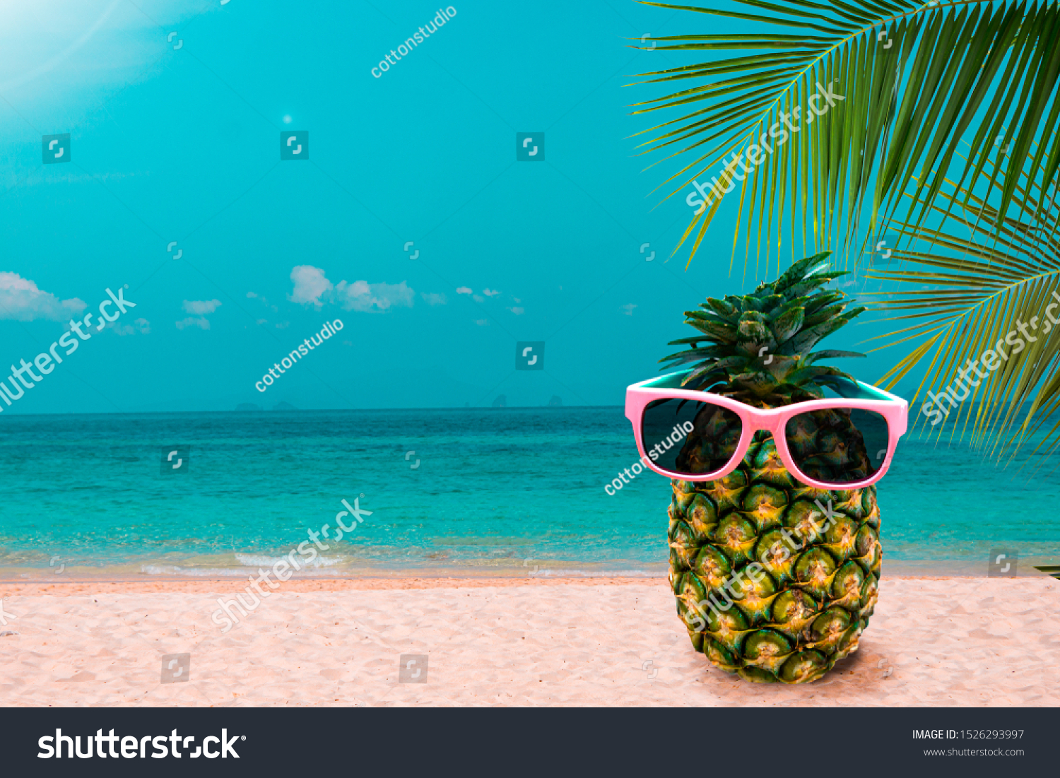 Funny Pineapple Wearing Pink Sunglasses Coconut Stock Photo Shutterstock