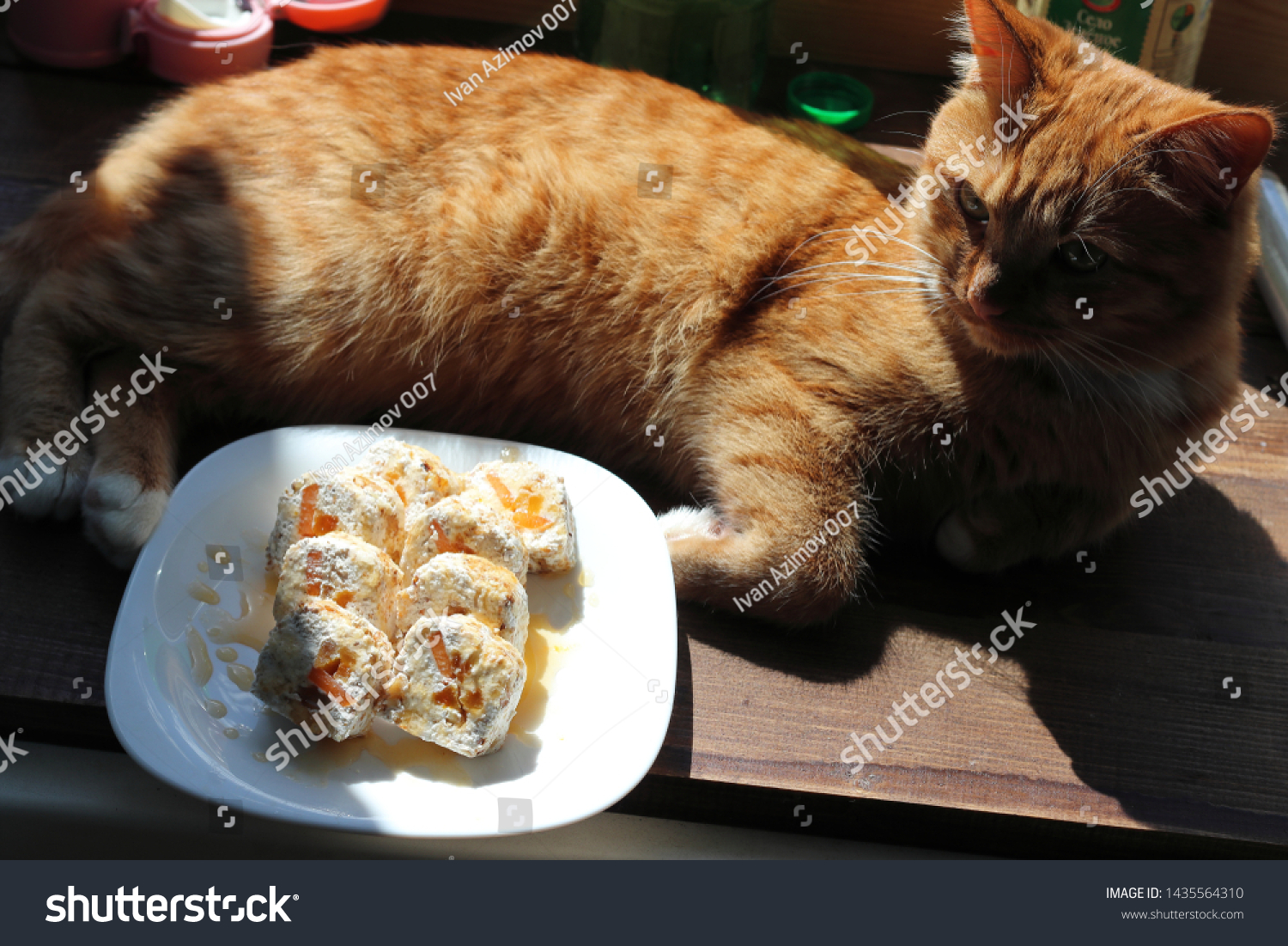 Funny Still Life Red Cat Cottage Stock Photo Edit Now 1435564310