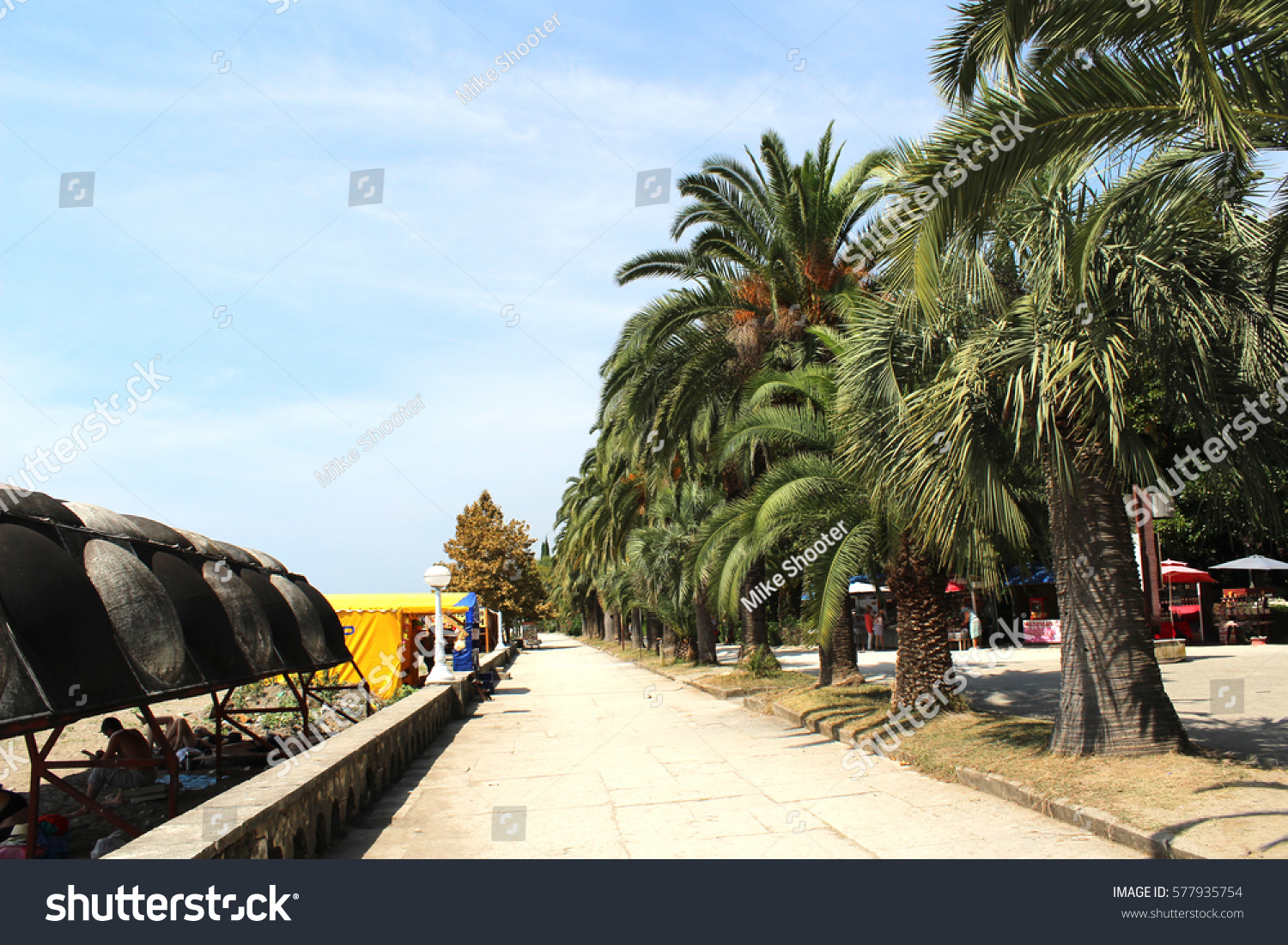 Abkhazia, Gagra. Sights and entertainment 25 Abkhazia, Gagra. Sights and entertainment 55