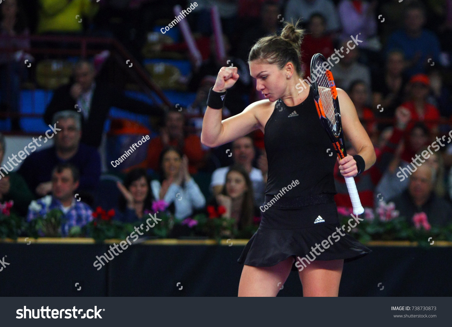 simona halep world Senior