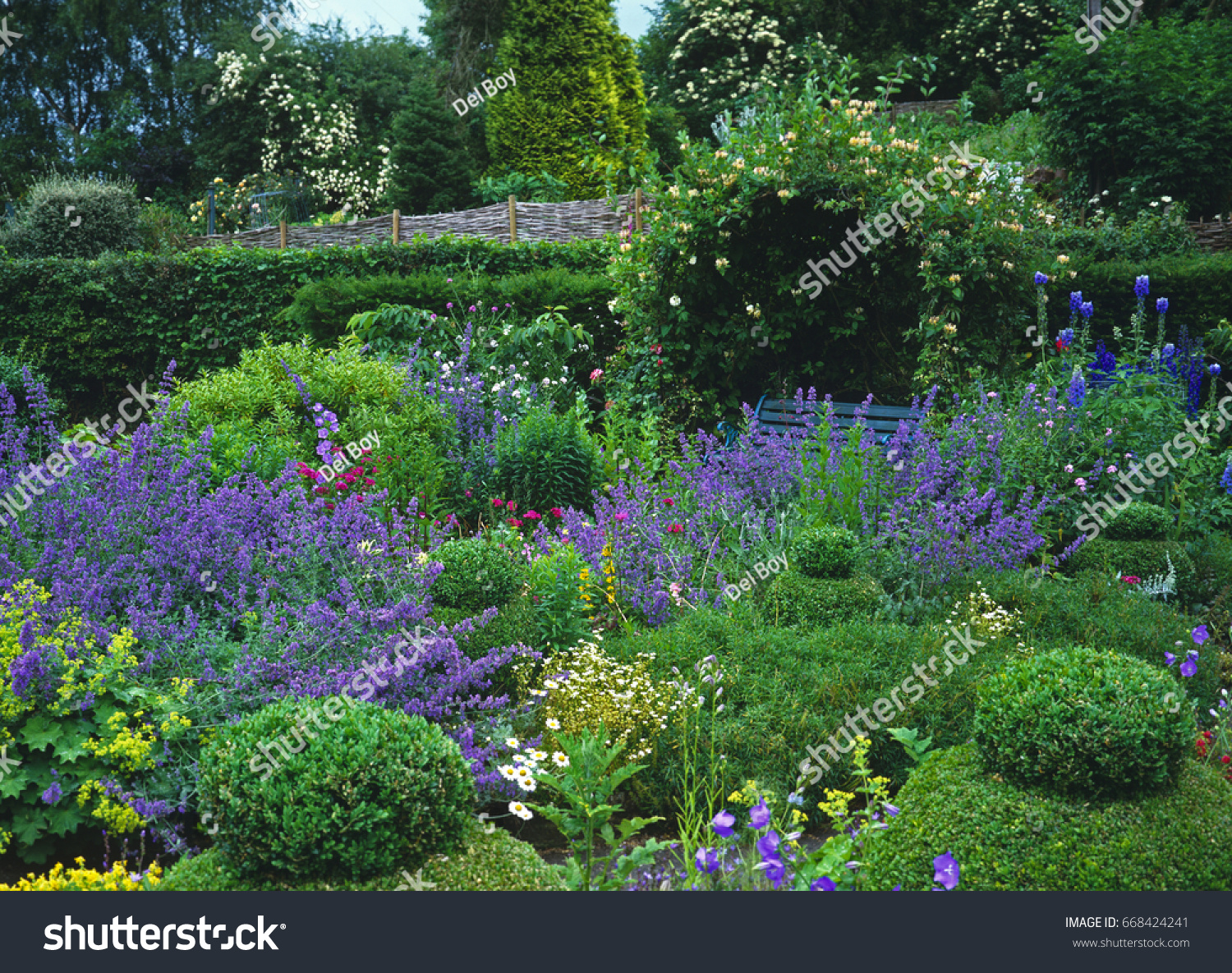 Garden Bench Under Arch Honeysuckle Nepeta Nature Parks Outdoor