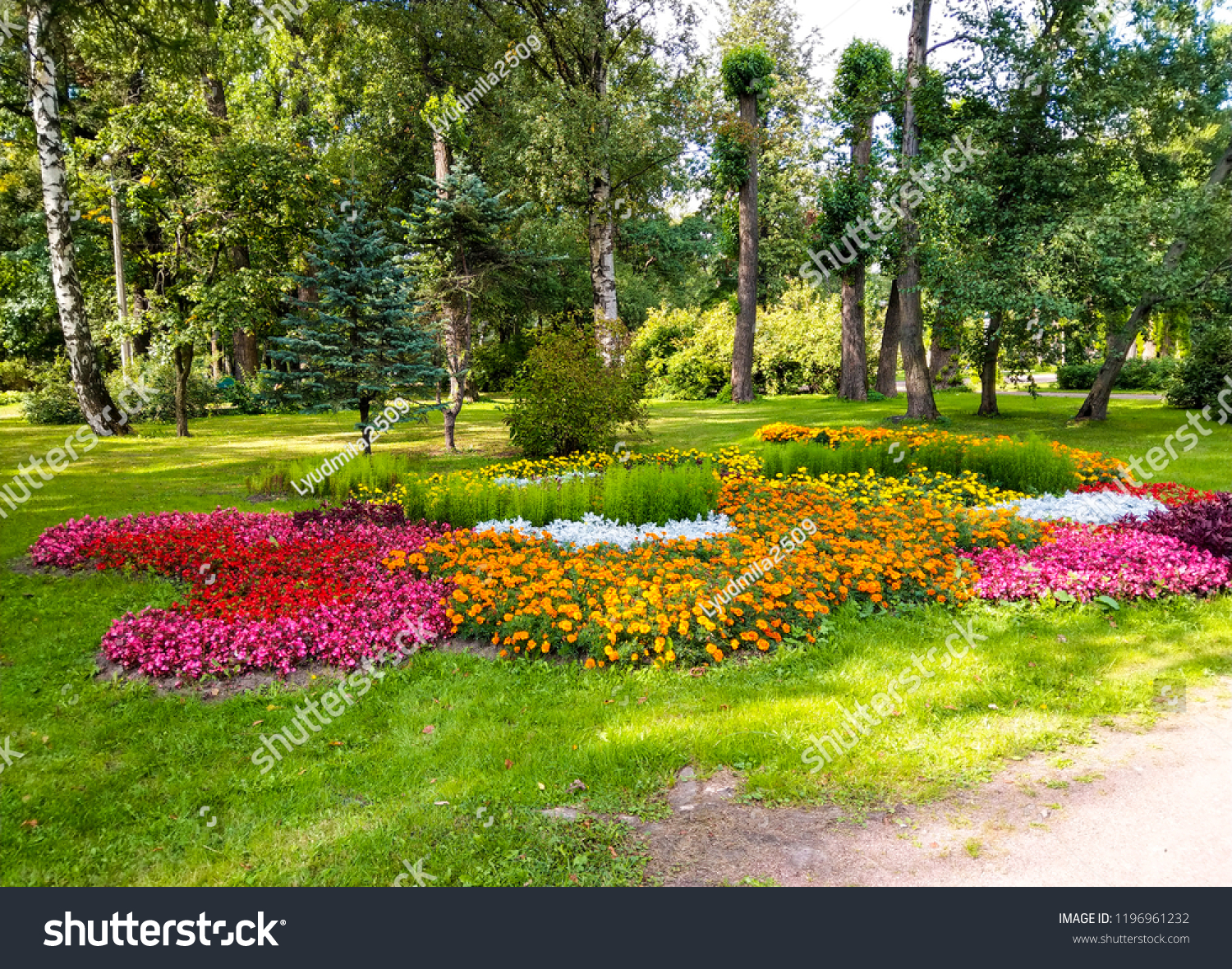 Beautiful Garden Flowers Pictures - Top 15 Most Beautiful Flowers You Can Grow In Your Garden Immediately Trees Com - A place for flower lovers and green thumbs to see breathtaking floral displays and inspirational gardens.