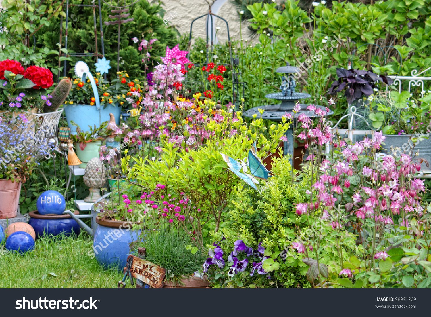 Garden Summer Flowers Plants Decorations Nature Parks Outdoor