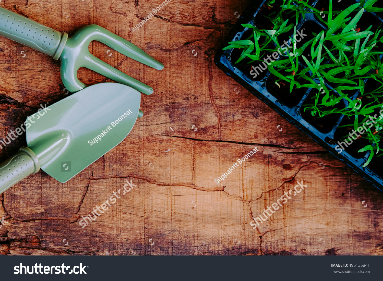 Garden Tools Sprouts On Wooden Table Objects Stock Image 495135841