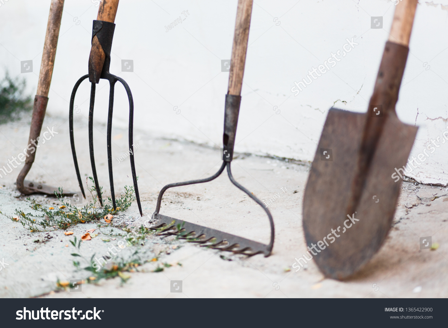 old garden rake