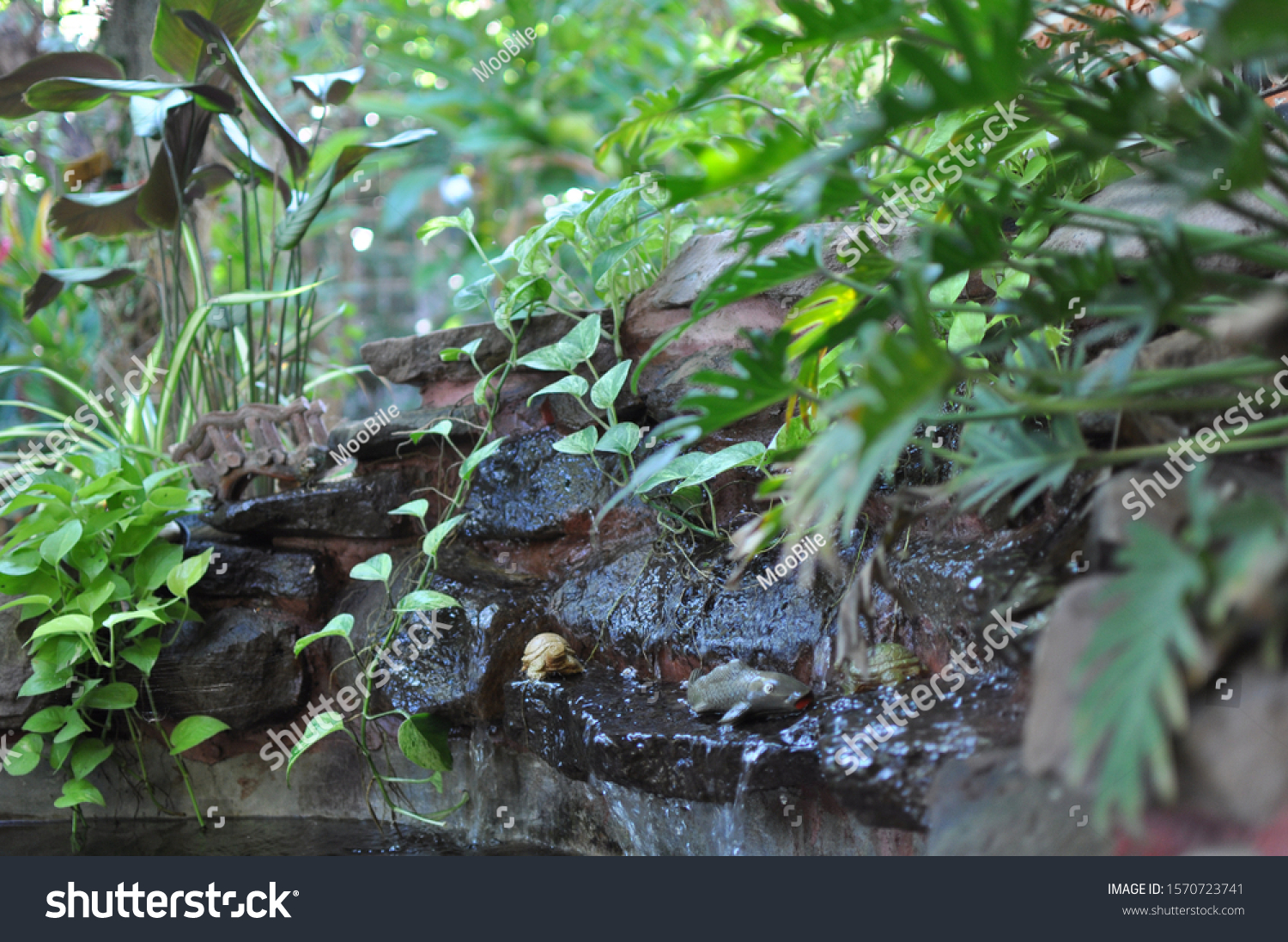 Garden Small Waterfall Pond Stock Photo Edit Now 1570723741