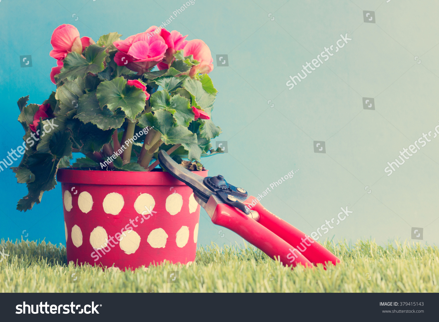 Polka-dots & Roses Planter