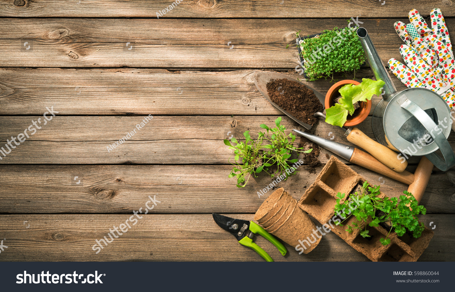 PowerPoint Template: seedling vegetable garden environment - (muppnhhll)