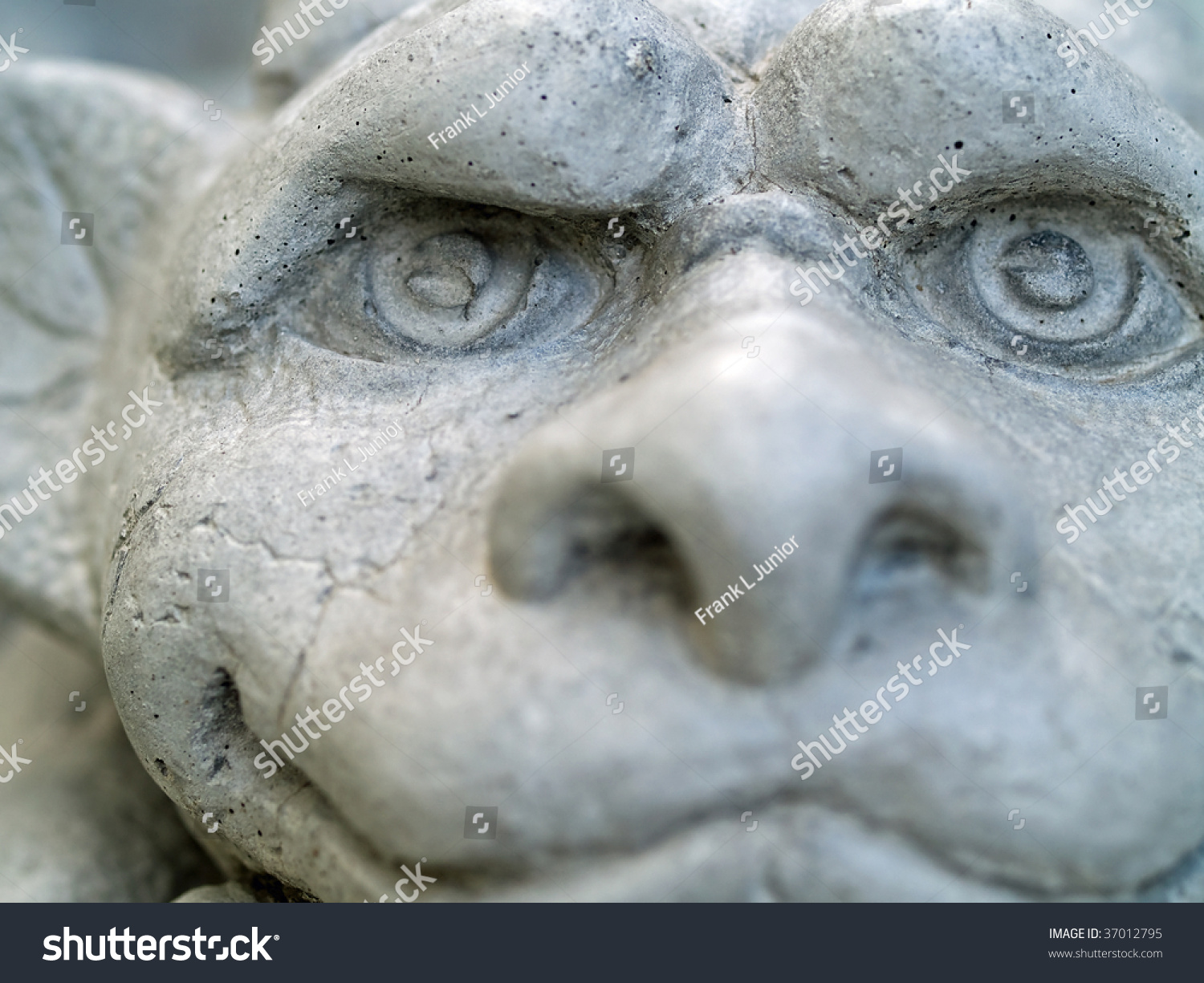 Gargoyle Statue Taken With Emphasis On Face And Eyes Stock Photo ...