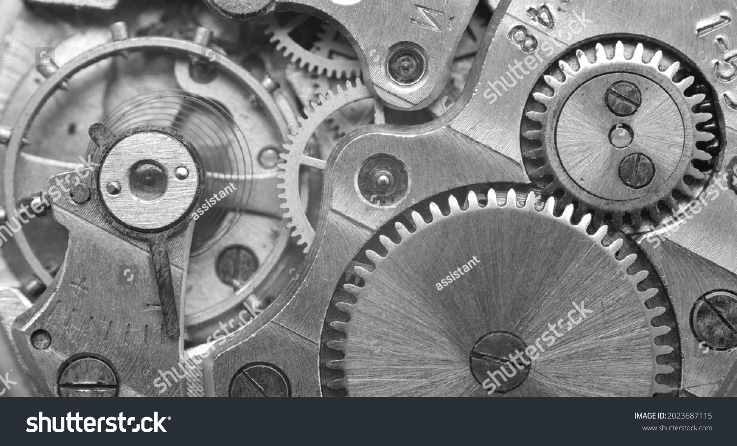 Gears Watch Mechanism Black White Photography Stock Photo 2023687115 ...