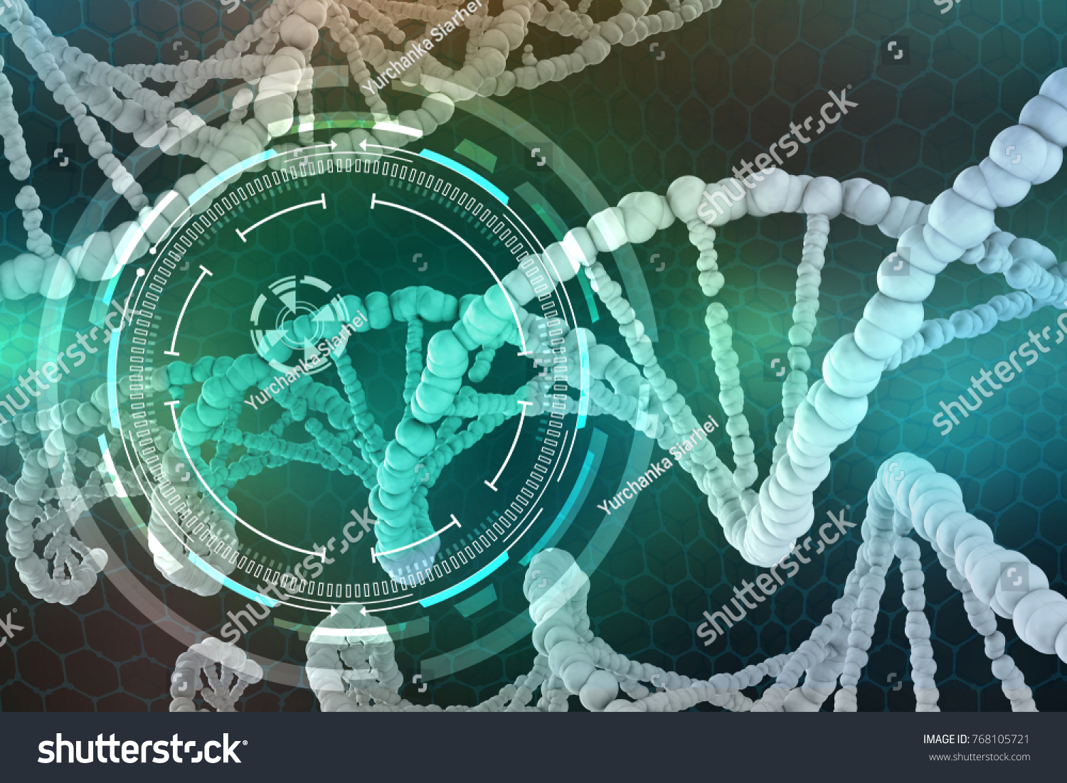 week-4-structure-and-function-of-dna-and-rna-structure-and-function