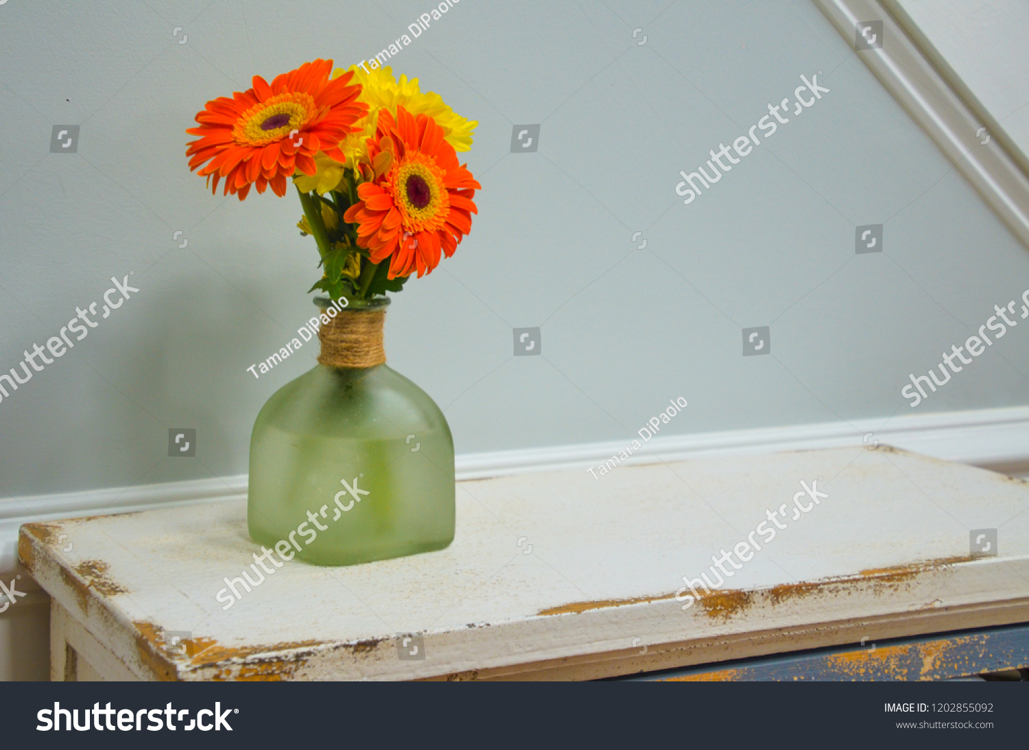 Gerber Daisies Tequila Bottle Stock Photo Edit Now