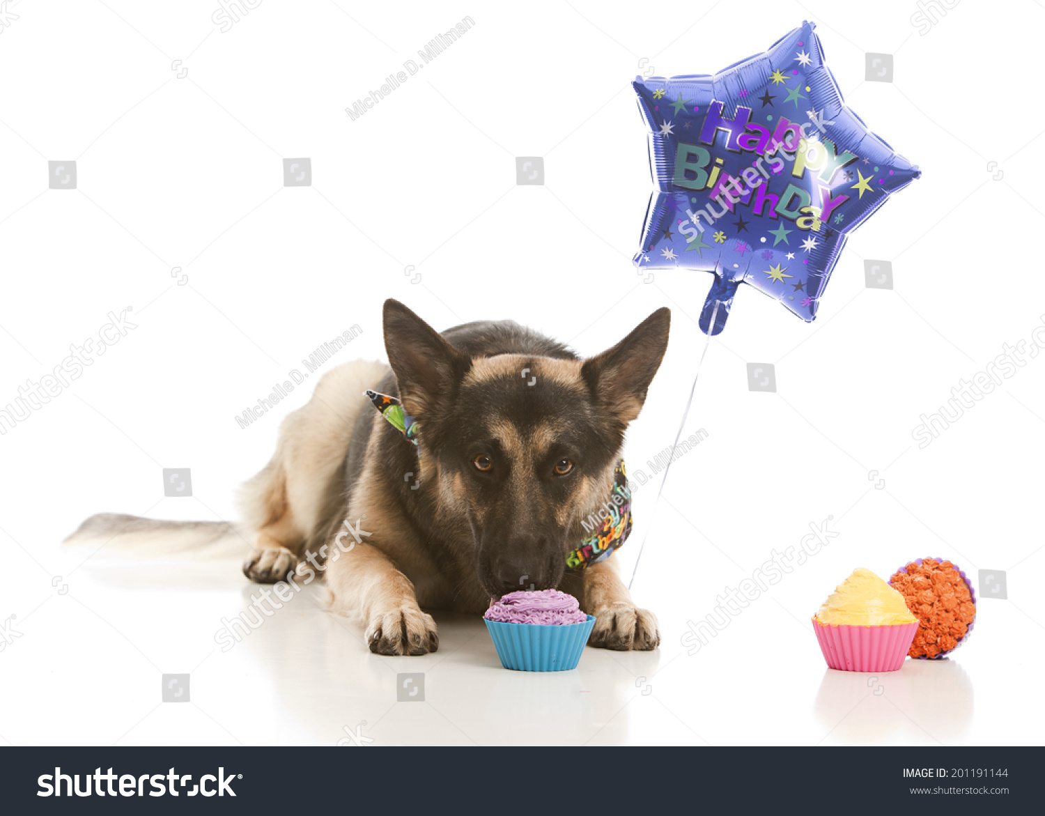 Details about   German Shepherd Happy Birthday Flag 