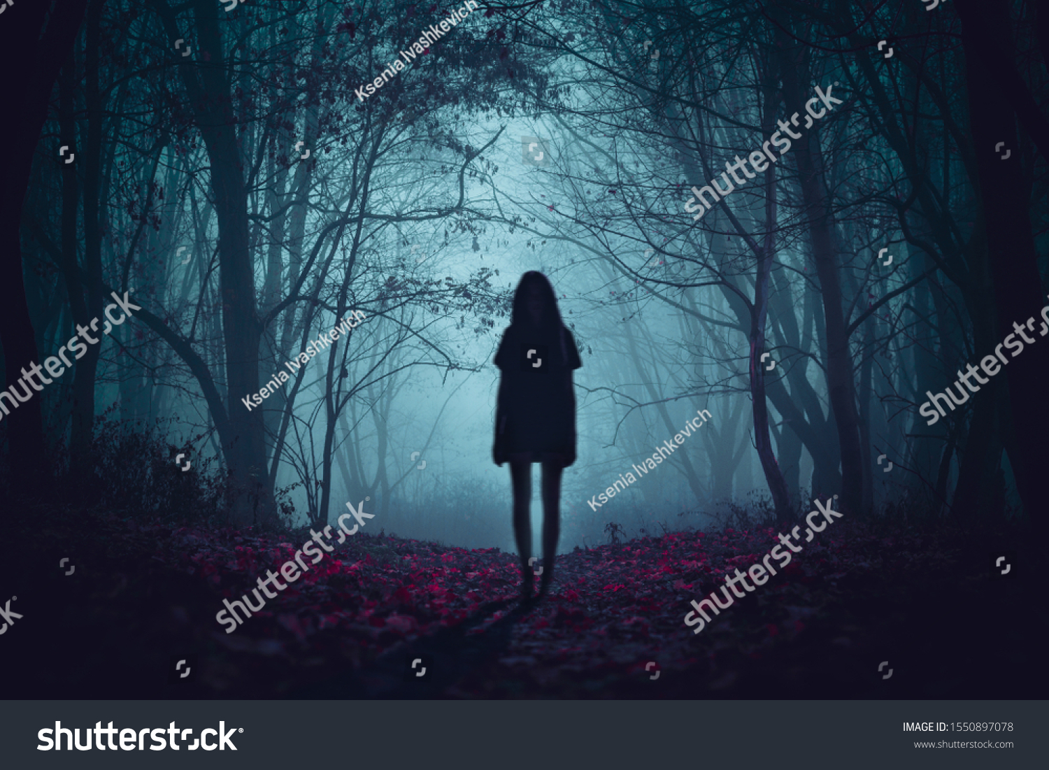 24,543 Witches Dark Forest Images, Stock Photos & Vectors | Shutterstock