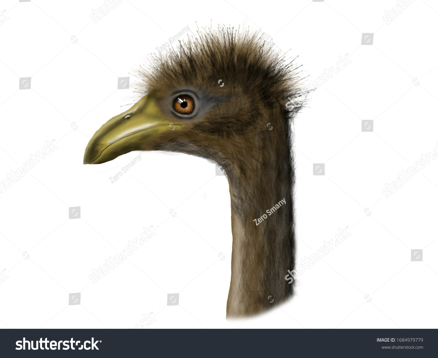 Giant Moa Species Nowextinct Flightless Birds Stock Illustration