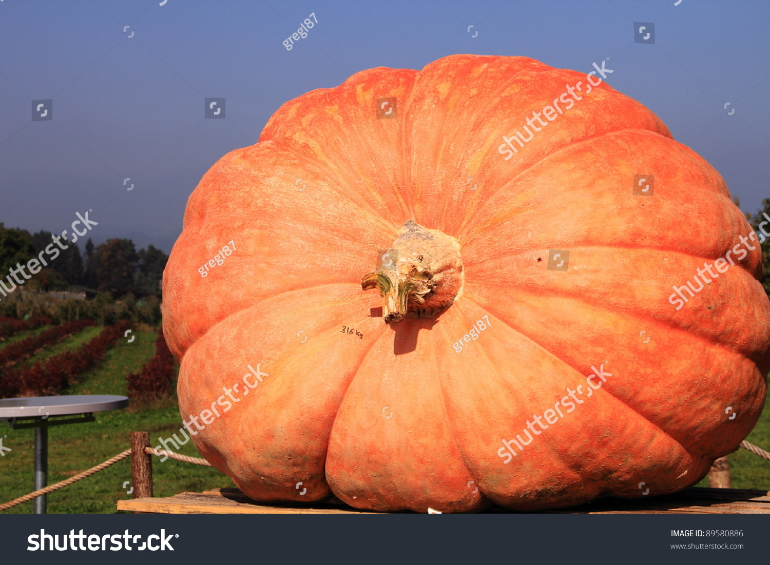 cocomelon-pumpkin-halloween-pumpkin-crafts-carte-halloween-halloween